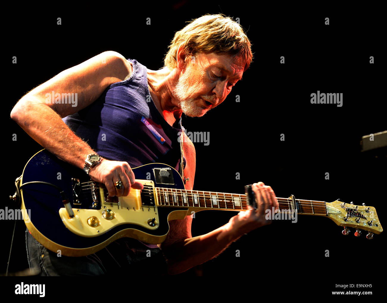 Prag, Tschechische Republik. 30. Oktober 2014. Britischer Sänger und Gitarrist Chris Rea führt während eines Konzerts in Prag, Tschechische Republik, 30. Oktober 2014. Bildnachweis: Michal Krumphanzl/CTK Foto/Alamy Live-Nachrichten Stockfoto