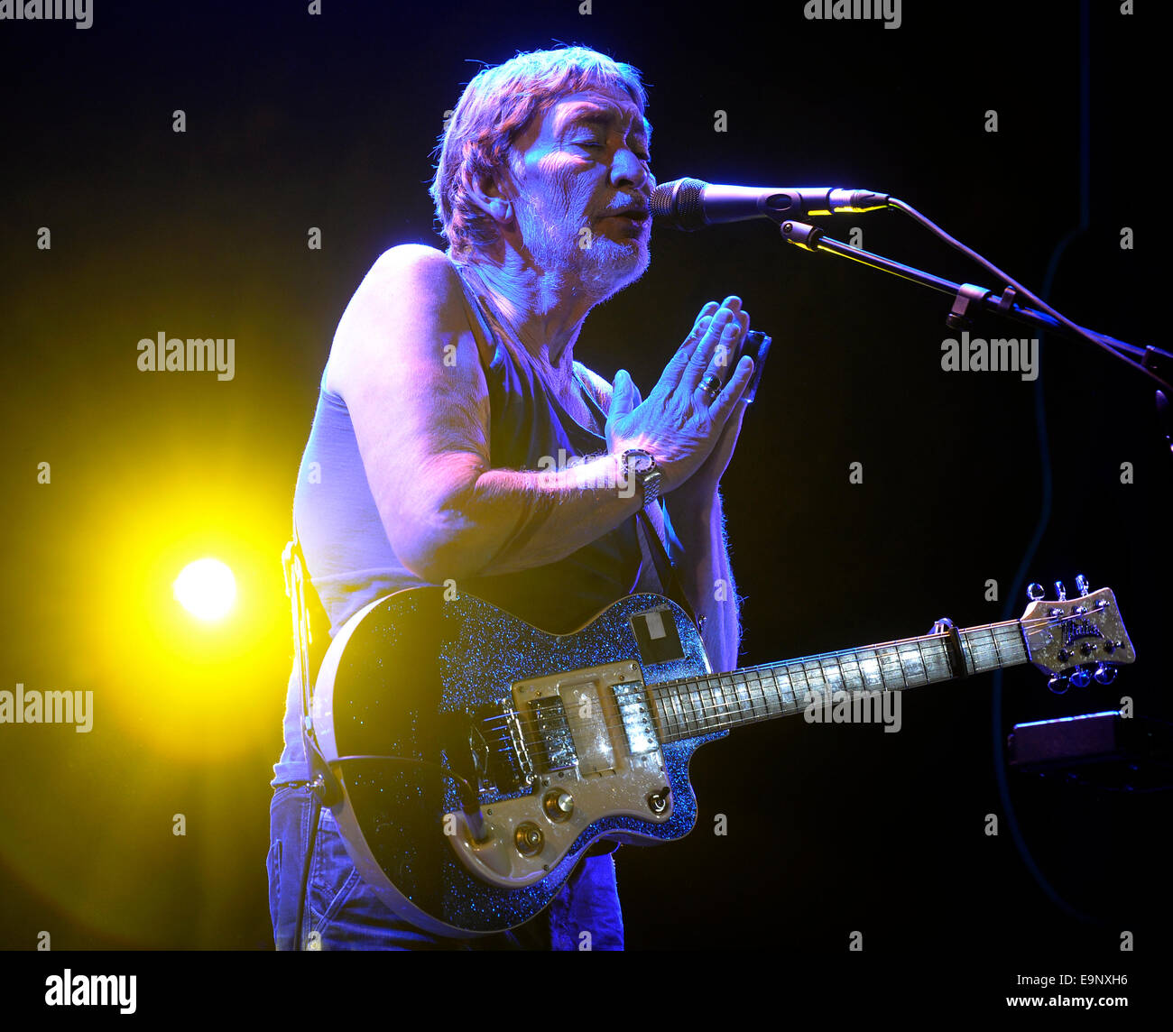 Prag, Tschechische Republik. 30. Oktober 2014. Britischer Sänger und Gitarrist Chris Rea führt während eines Konzerts in Prag, Tschechische Republik, 30. Oktober 2014. Bildnachweis: Michal Krumphanzl/CTK Foto/Alamy Live-Nachrichten Stockfoto