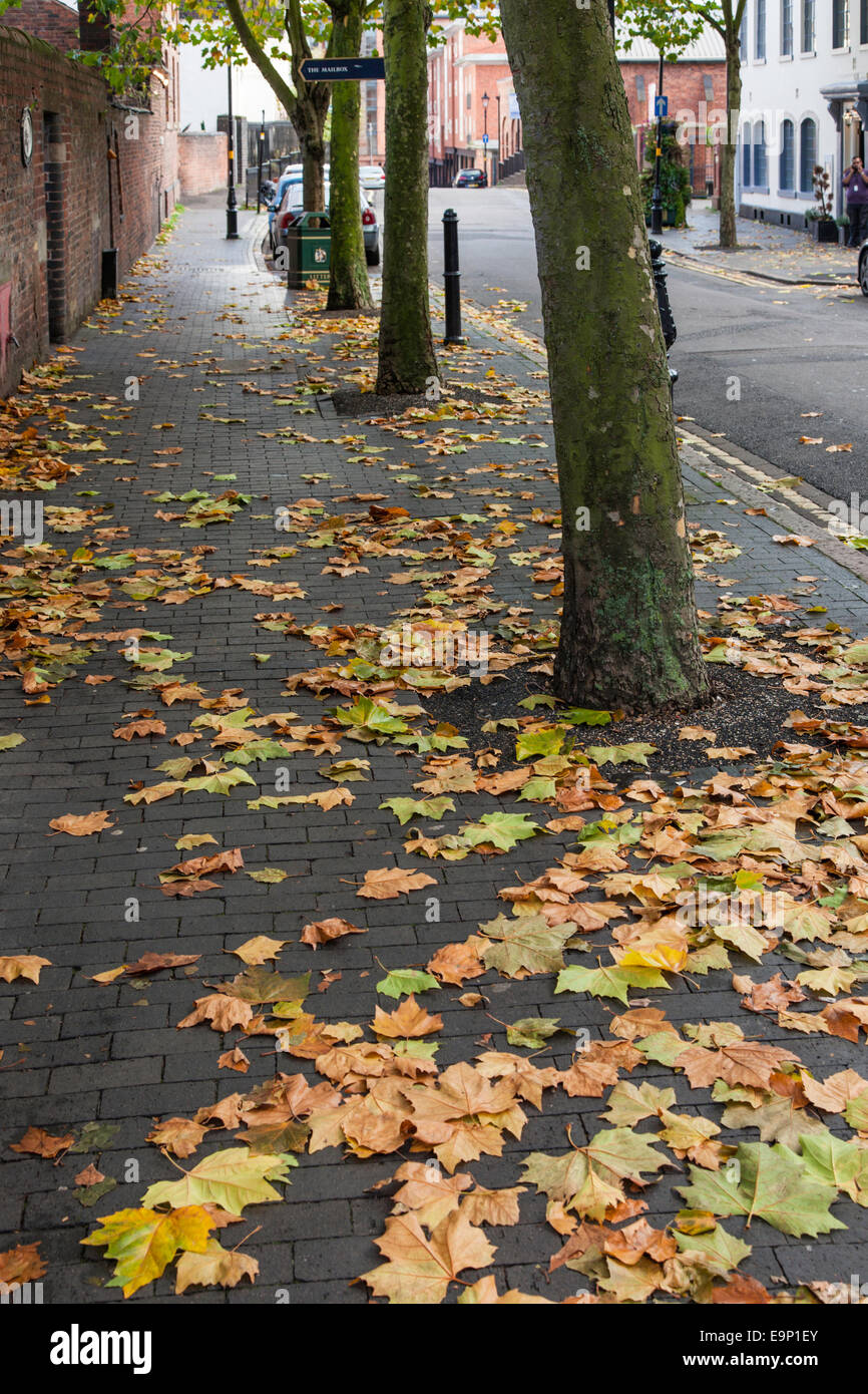 Herbst auf einem britischen Street, England, UK Stockfoto