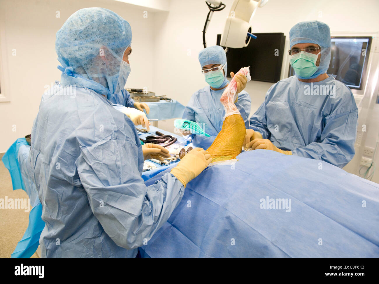 Noel Fitzpatrick fügt Metall Implantat in Hunde Hinterbein in seiner State-Of-The-Art OP-Saal in Godalming Surrey uk Stockfoto