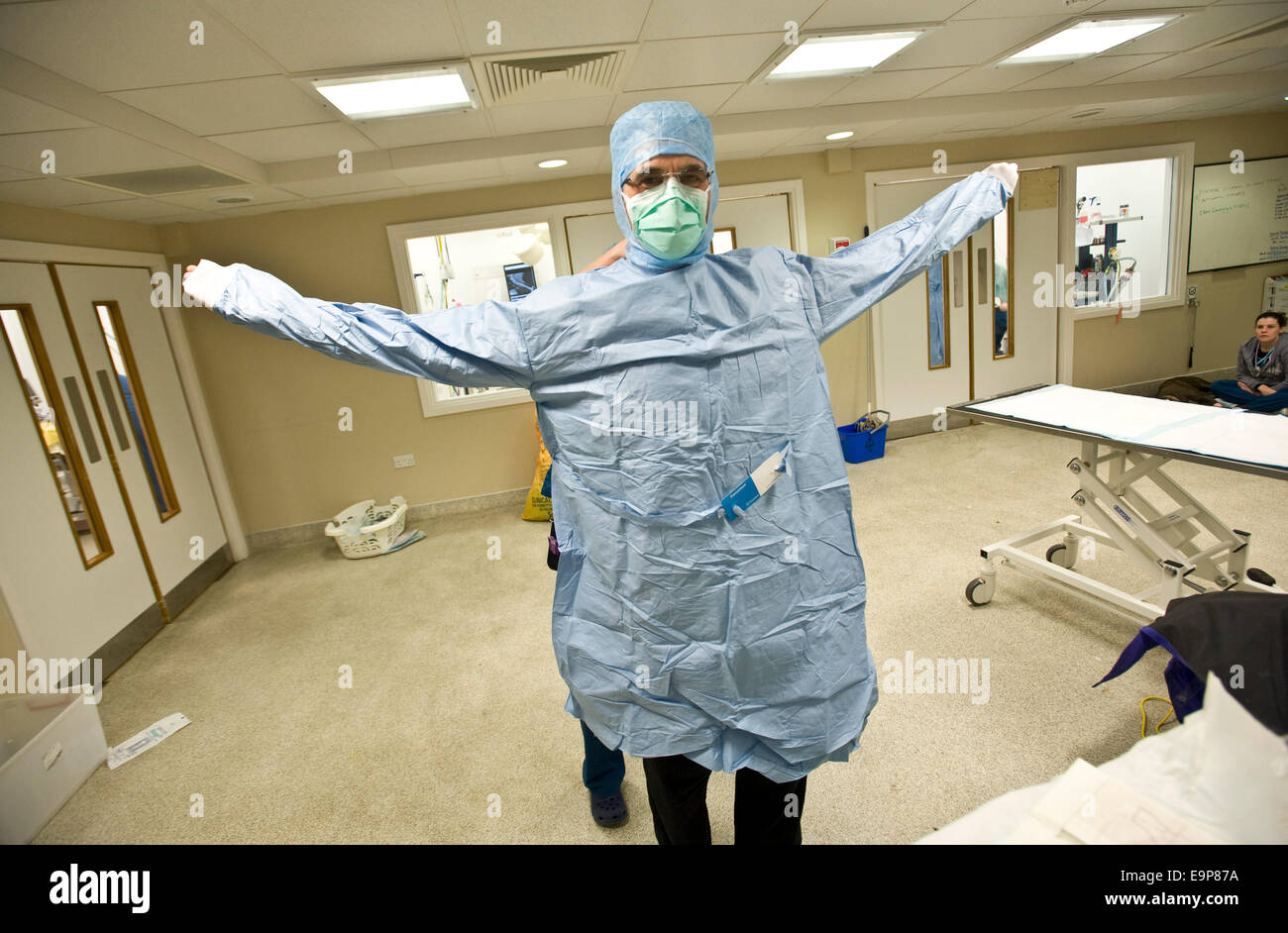 Noel Fitzpatrick fügt Metall Implantat in Hunde Hinterbein in seiner State-Of-The-Art OP-Saal in Godalming Surrey uk Stockfoto