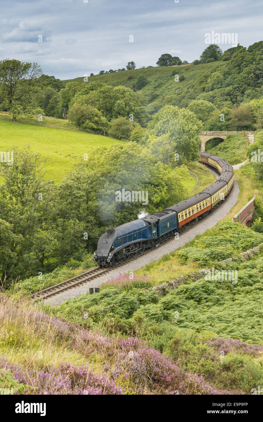 "Sir Nigel Gresley" Dampf-Zug und Wagen, durch Moorlandschaften von Pickering in Goathland, North Yorkshire Moors Railway, North Yorkshire, England, August reisen Stockfoto