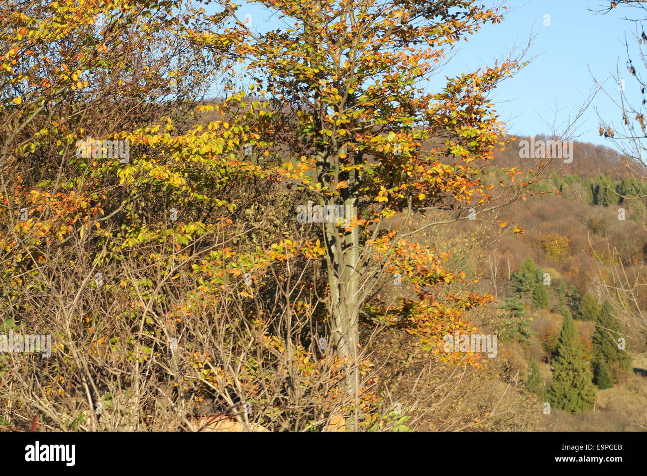 Schöner sonniger Tag ist in Berglandschaft Stockfoto