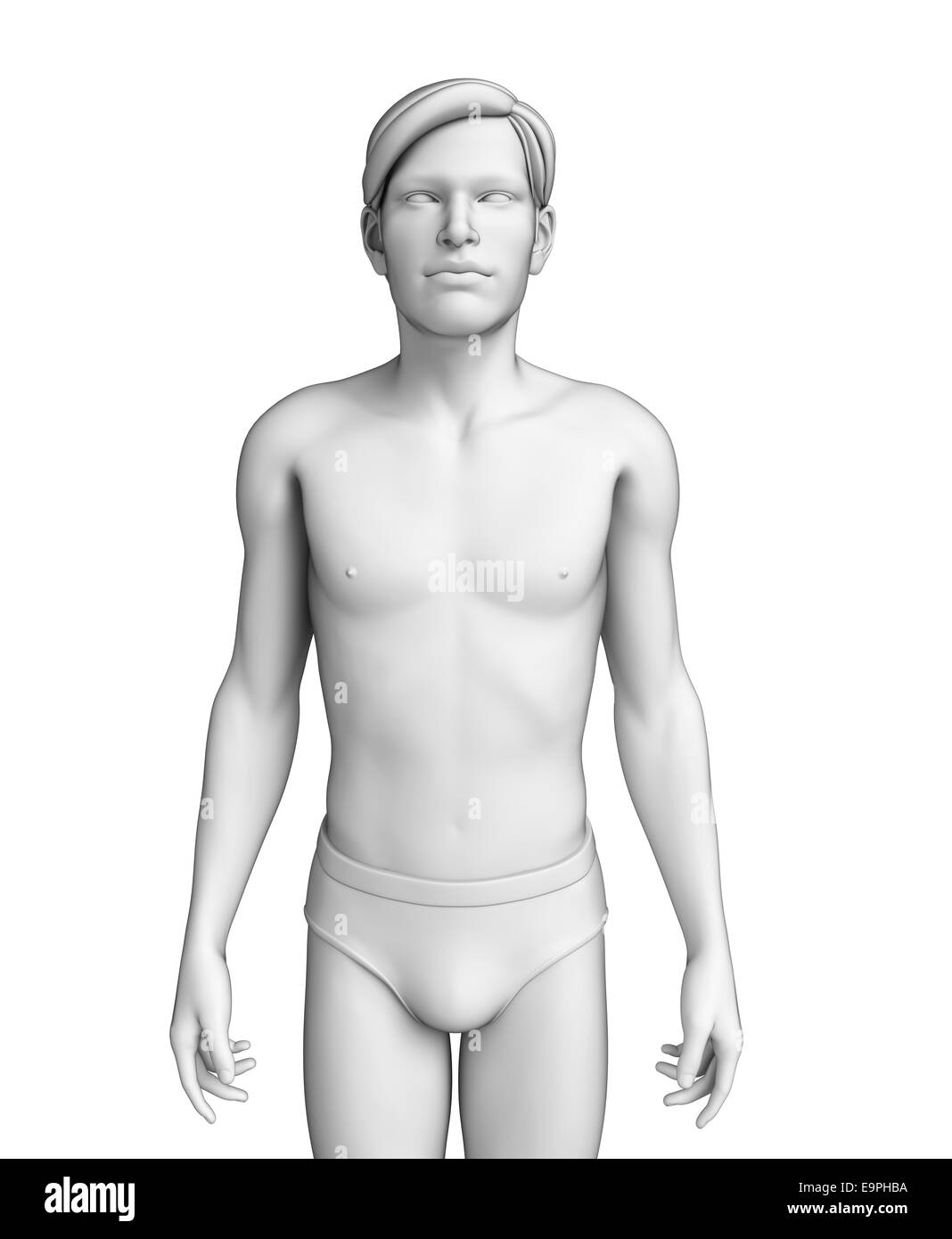 Illustration des menschlichen Körpers-Anatomie Stockfoto