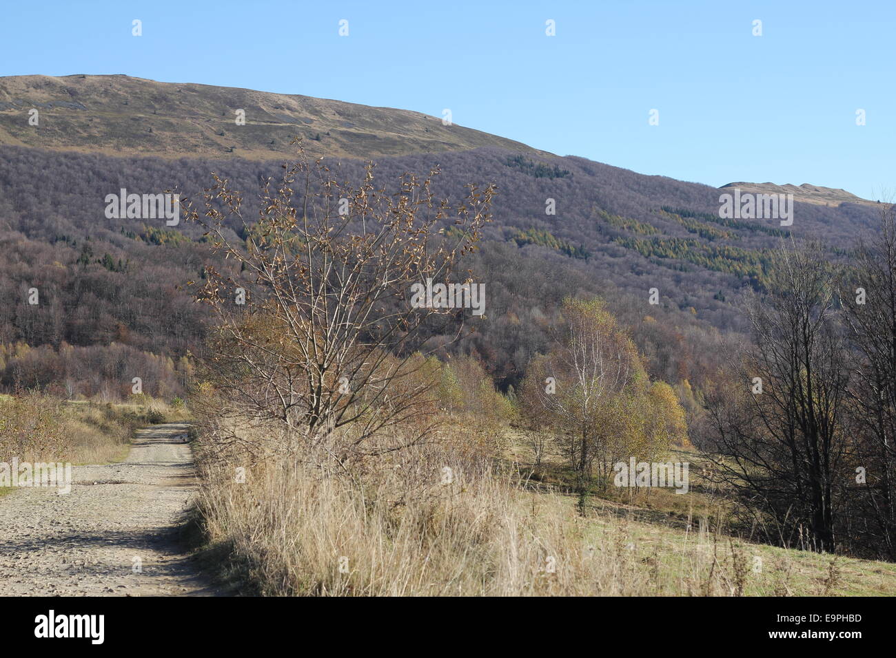 Schöner sonniger Tag ist in Berglandschaft Stockfoto