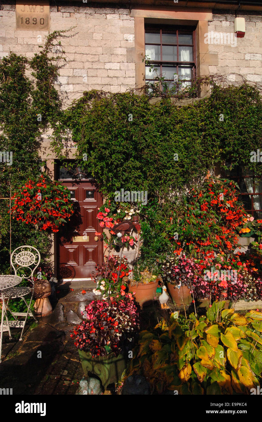 Einen Bauerngarten. Stockfoto