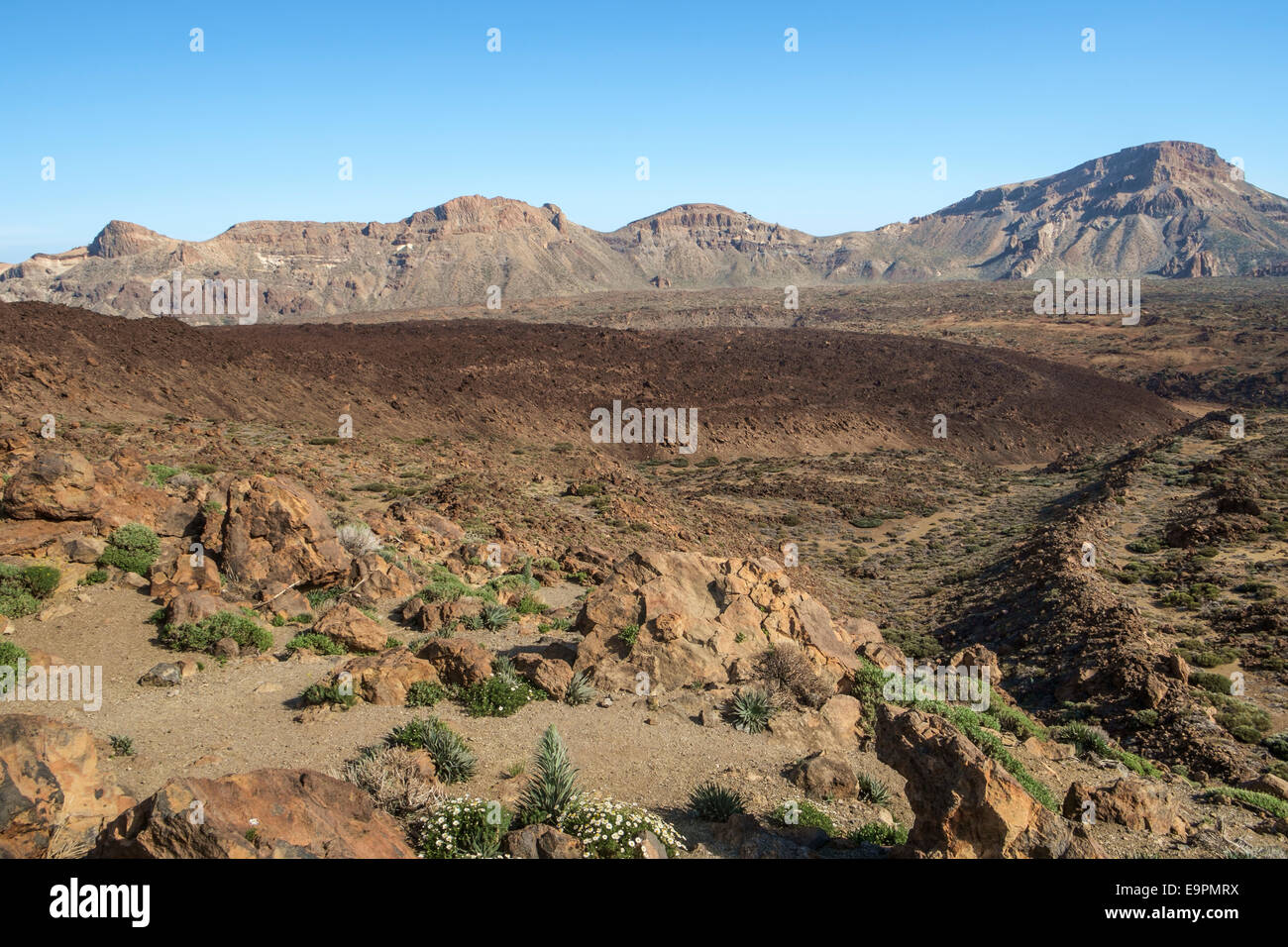 Las Canadas, Teneriffa, Kanarische Inseln Stockfoto
