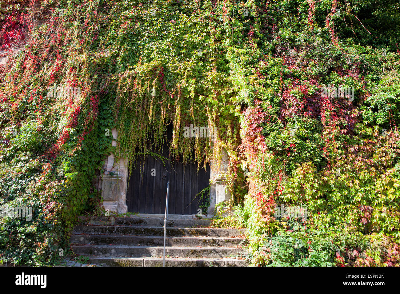 Überwuchert Tür, Schloss Marburg, Landgrafenschloss, Marburg, Hessen, Deutschland, Europa, Stockfoto