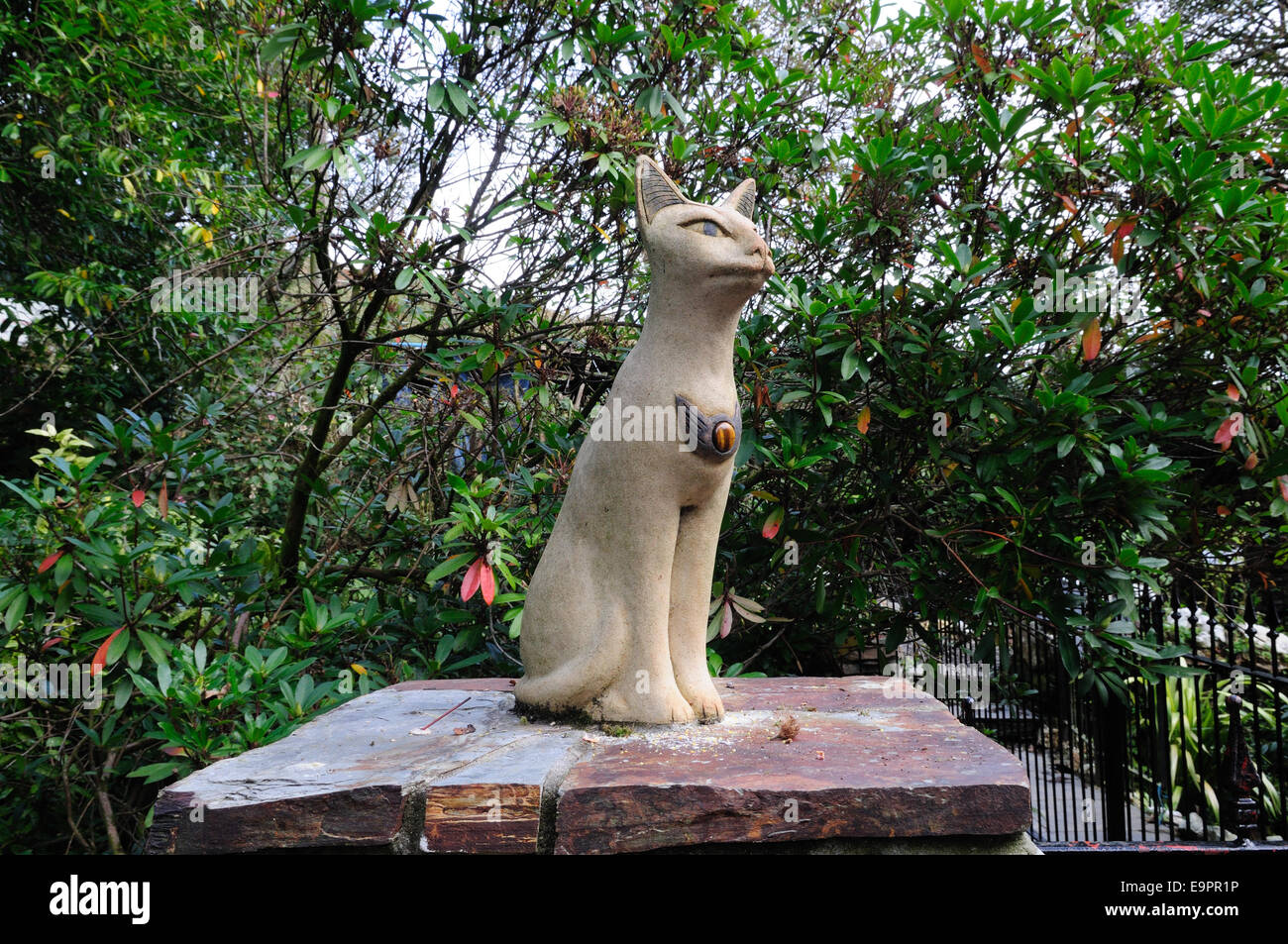 Skulptur einer Katze zu Beginn der Wanderung zu St Nectans Wasserfall Titagel Cornwall England UK GB Stockfoto