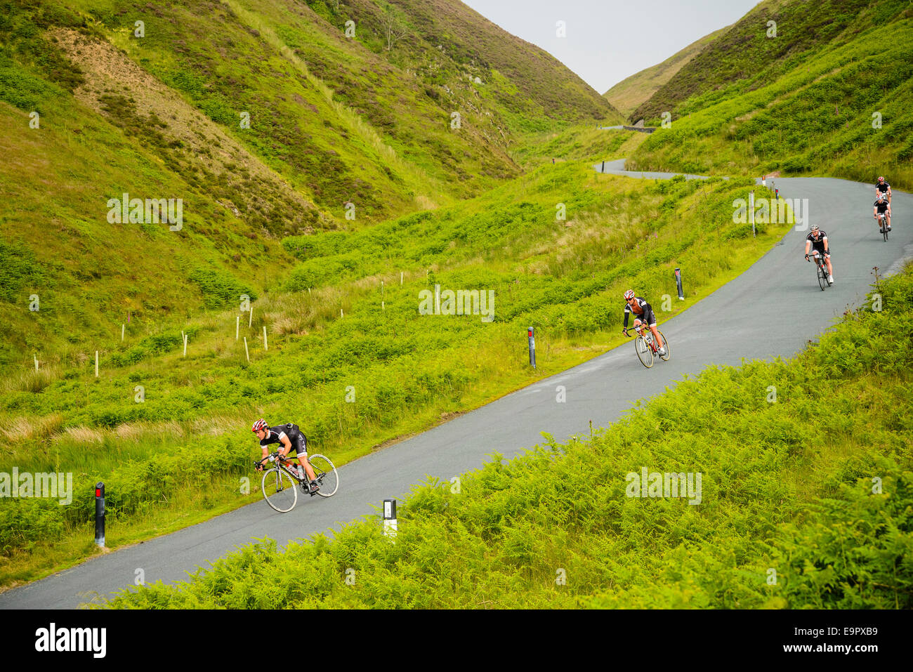 Radfahrer, die absteigende Trog Bowland während sportlichen Event in den Wald von Bowland Lancashire Stockfoto
