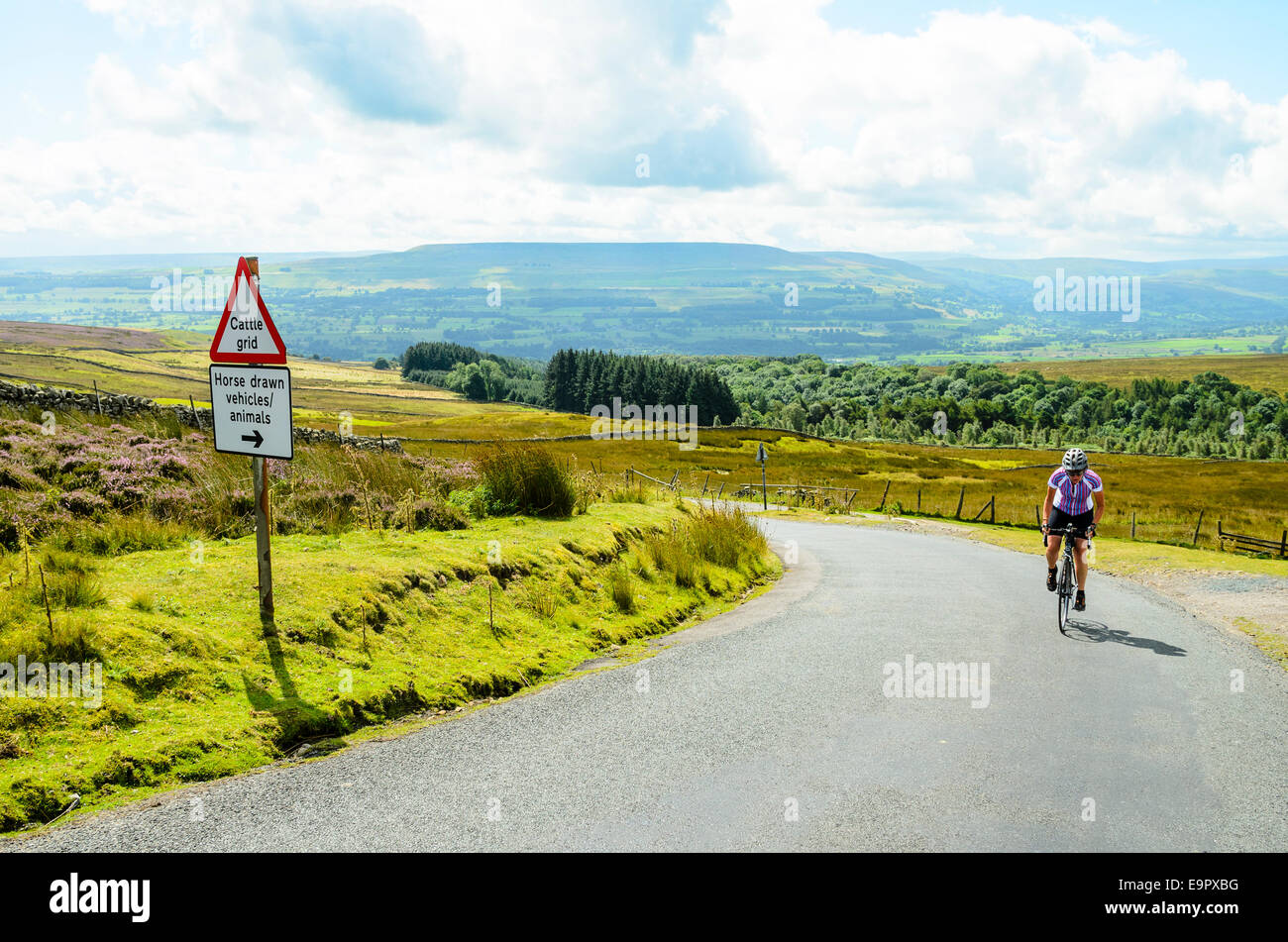 Weibliche Radfahrer Klettern Redmire Moor in den Yorkshire Dales Stockfoto