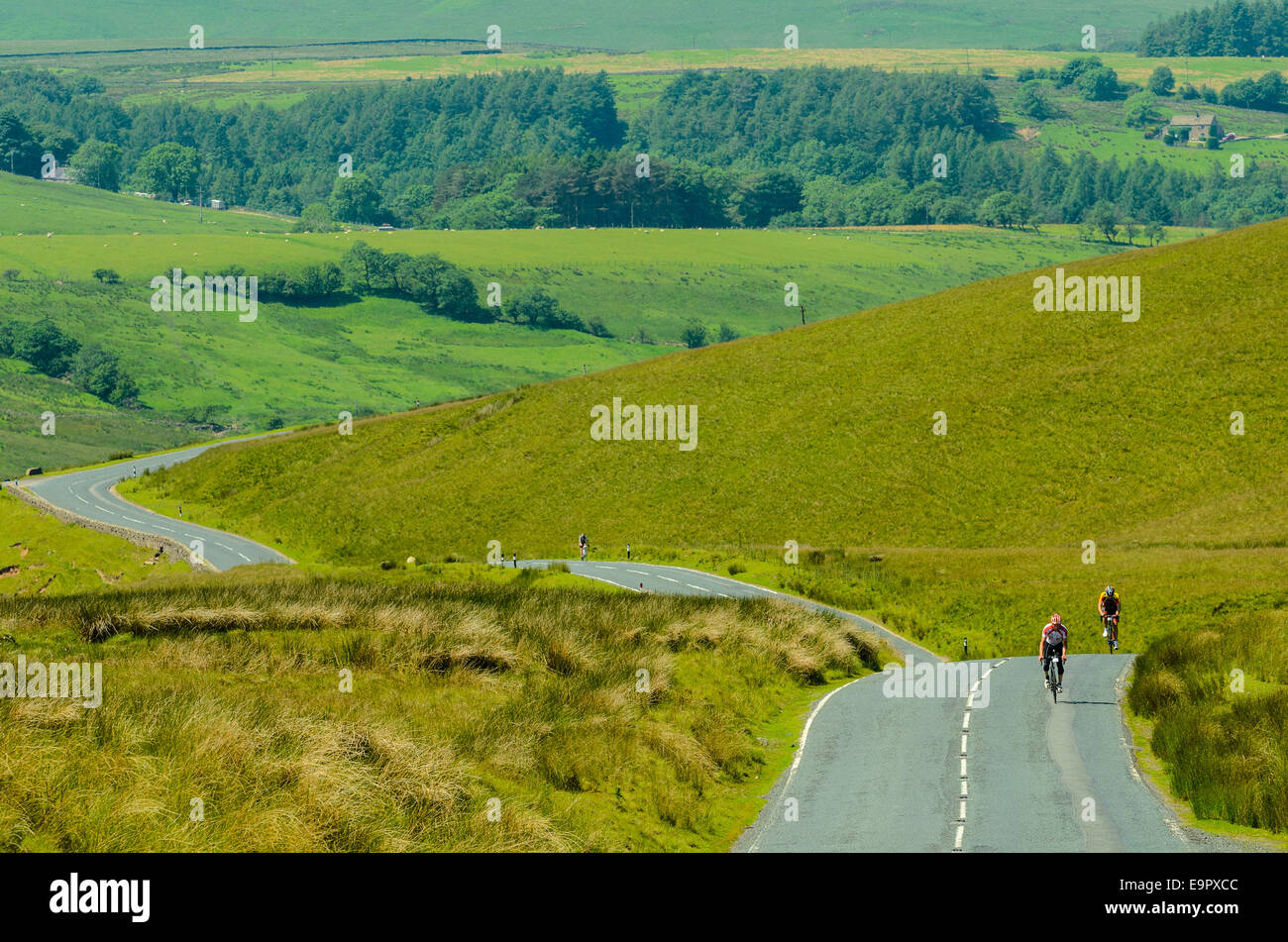 Radfahrer Klettern Waddington fiel während eines sportlichen Ereignisses im Wald von Bowland Lancashire Stockfoto