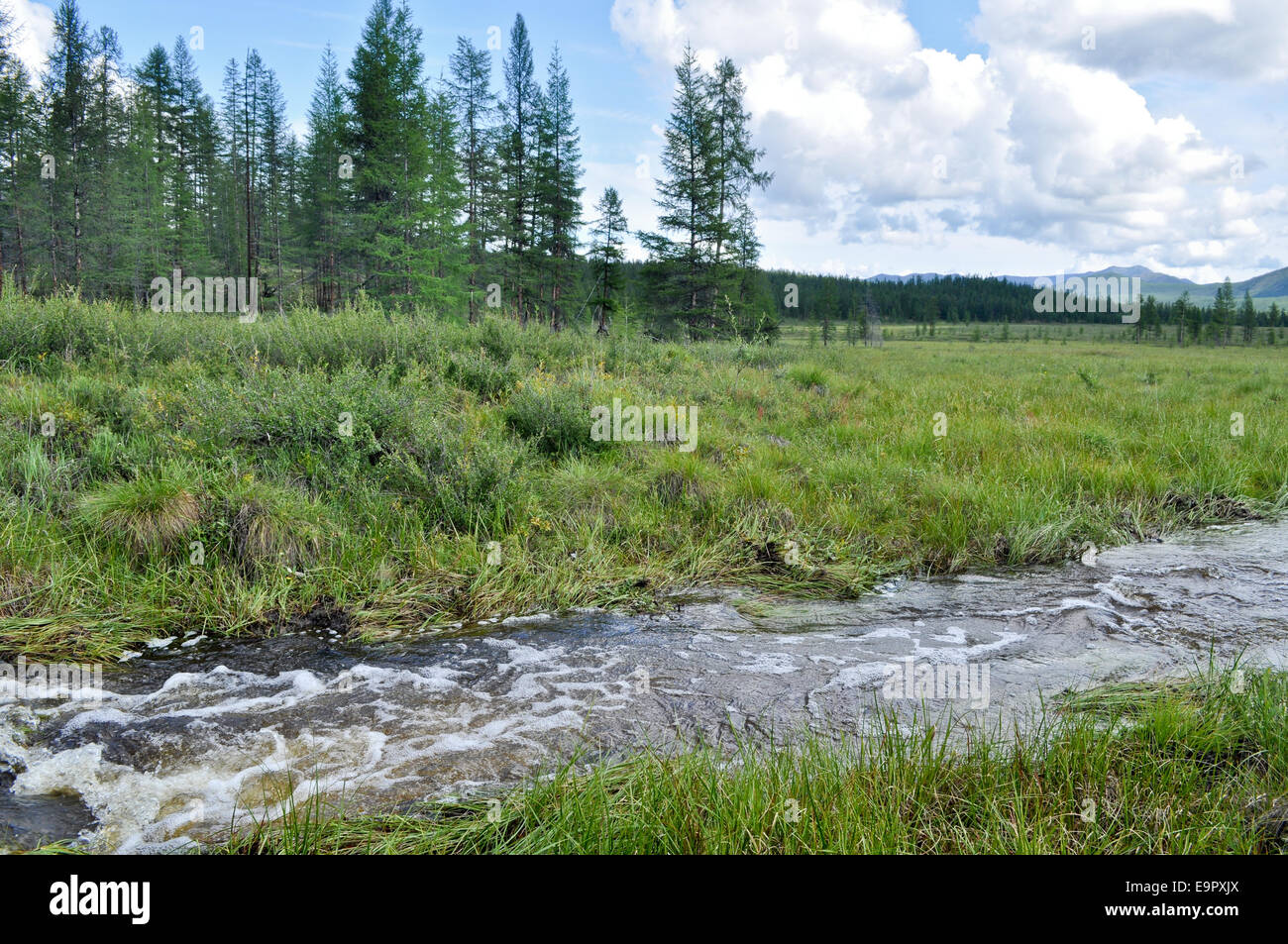 Wasser Sommerlandschaft rund um den Fluss Suntar in das Hochland von Oimjakon, Jakutien, Russland. Stockfoto