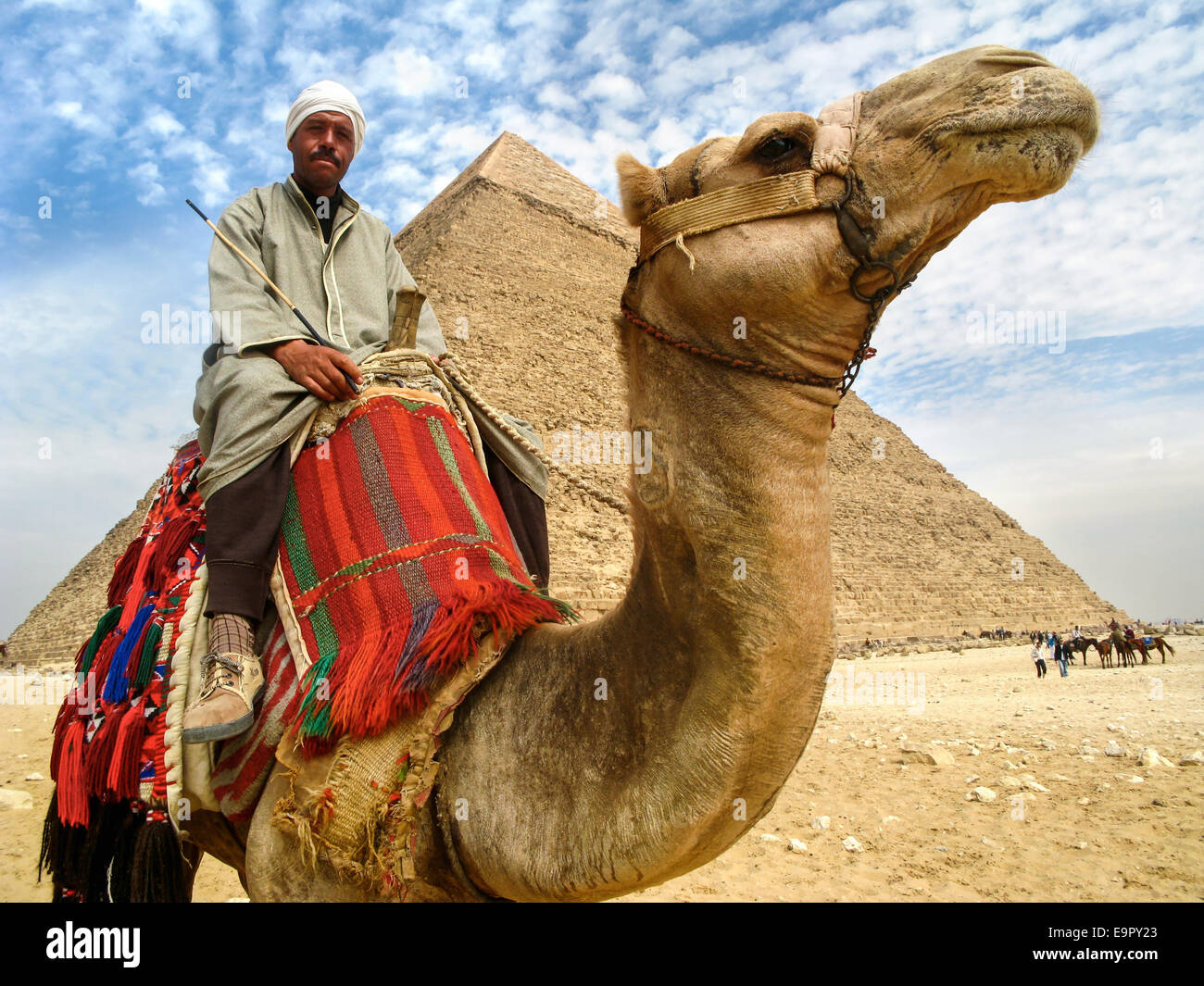 Porträt von einem Kamel Mann mit seinem Kamel vor der Pyramide von Khafre auf dem Plateau von Gizeh in Kairo, Ägypten. Stockfoto
