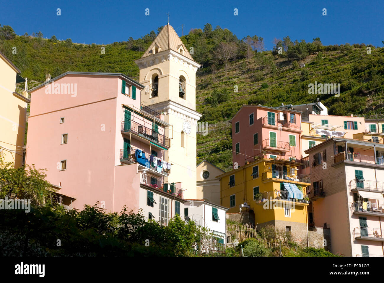 Manarola, Nationalpark Cinque Terre, Ligurien, Italien. Bunte Häuser und 14. Jahrhundert Glockenturm von der Chiesa di San Lorenzo. Stockfoto