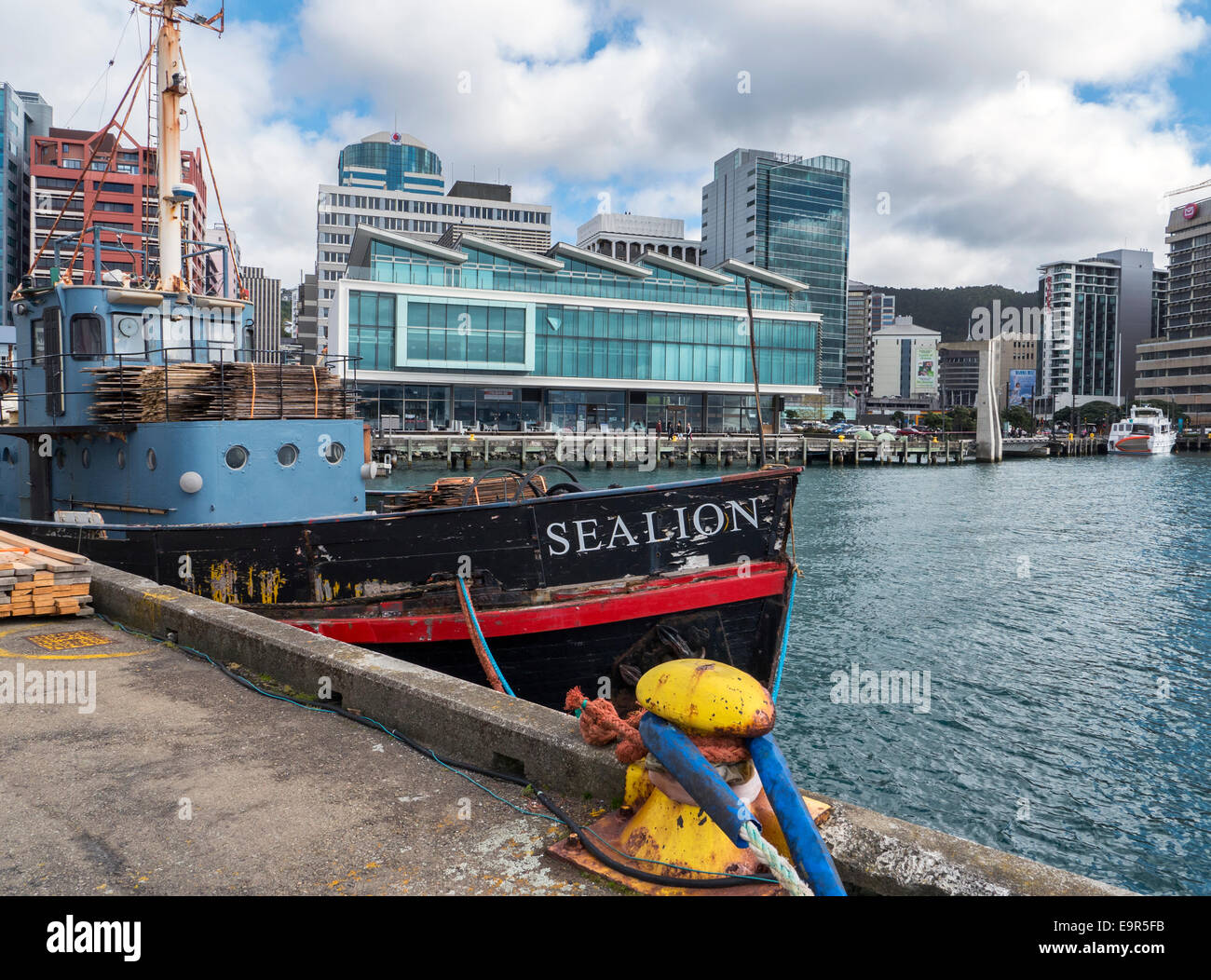 Seelöwen, alte Tintenfisch Fischkutter vertäut am Queens Wharf, Wellington, Neuseeland Stockfoto