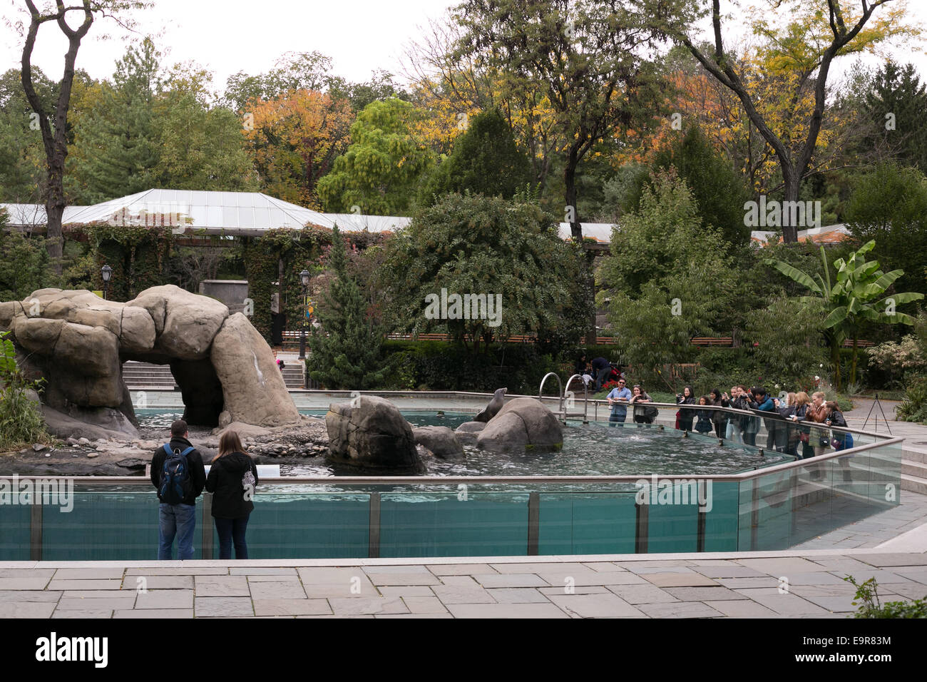 Central park zoo -Fotos und -Bildmaterial in hoher Auflösung – Alamy
