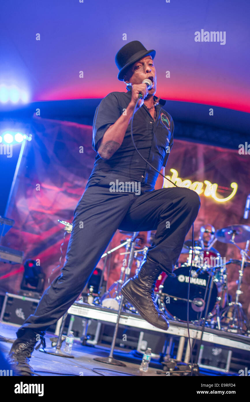 New Orleans, Louisiana, USA. 31. Oktober 2014. FISHBONE führt im Rahmen der 2014 Voodoo Musik Kunst erleben am Stadtpark am 31. Oktober 2014 in New Orleans, Louisiana Credit: ZUMA Wire/ZUMAPRESS.com/Alamy Live News Stockfoto