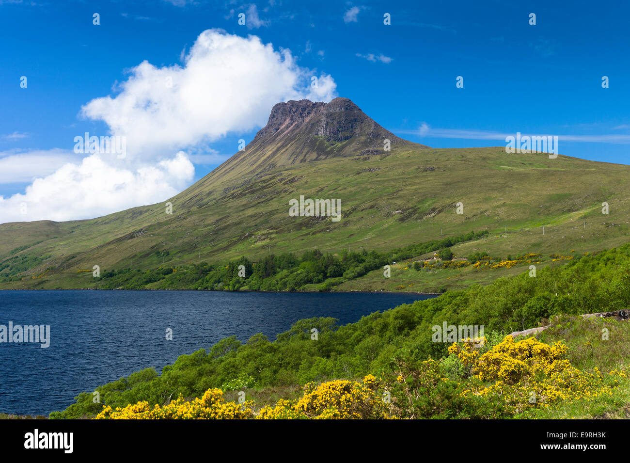 Stac Pollaidh, Stack Polly, Berg, See und Ginster innerhalb Inverpolly National Nature Reserve in Coigach Gegend von Nord-West Stockfoto