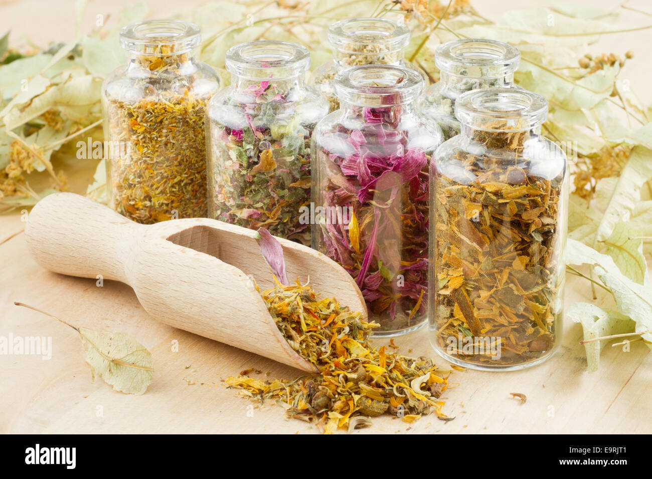Heilkräuter in Glasflaschen, Kräutermedizin Stockfoto