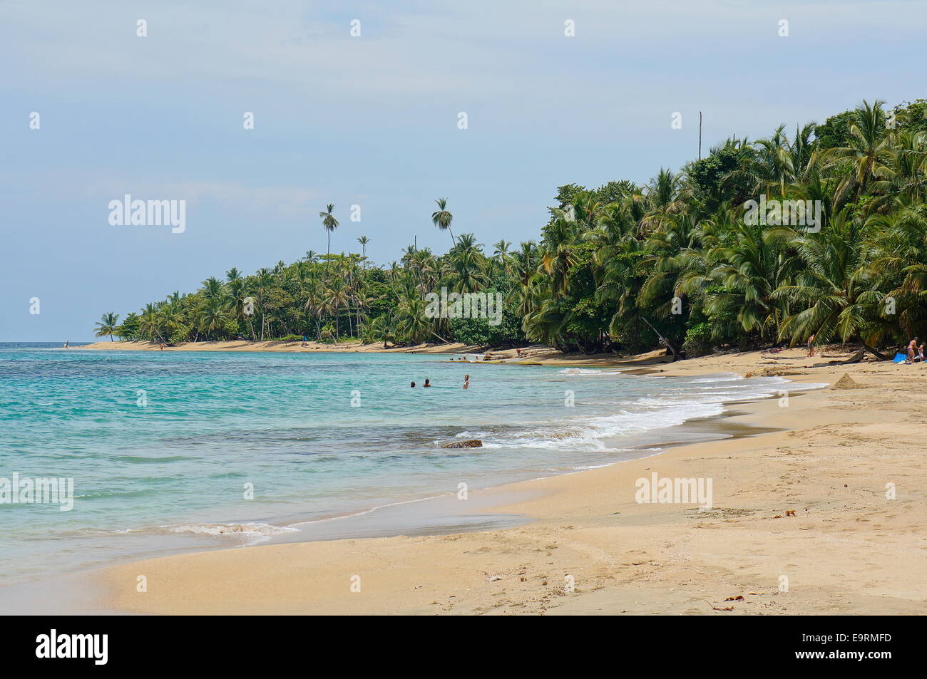 Strand mit schönen tropischen Vegetation an der Karibikküste von Costa Rica, Punta Uva, Puerto Viejo de Talamanca Stockfoto