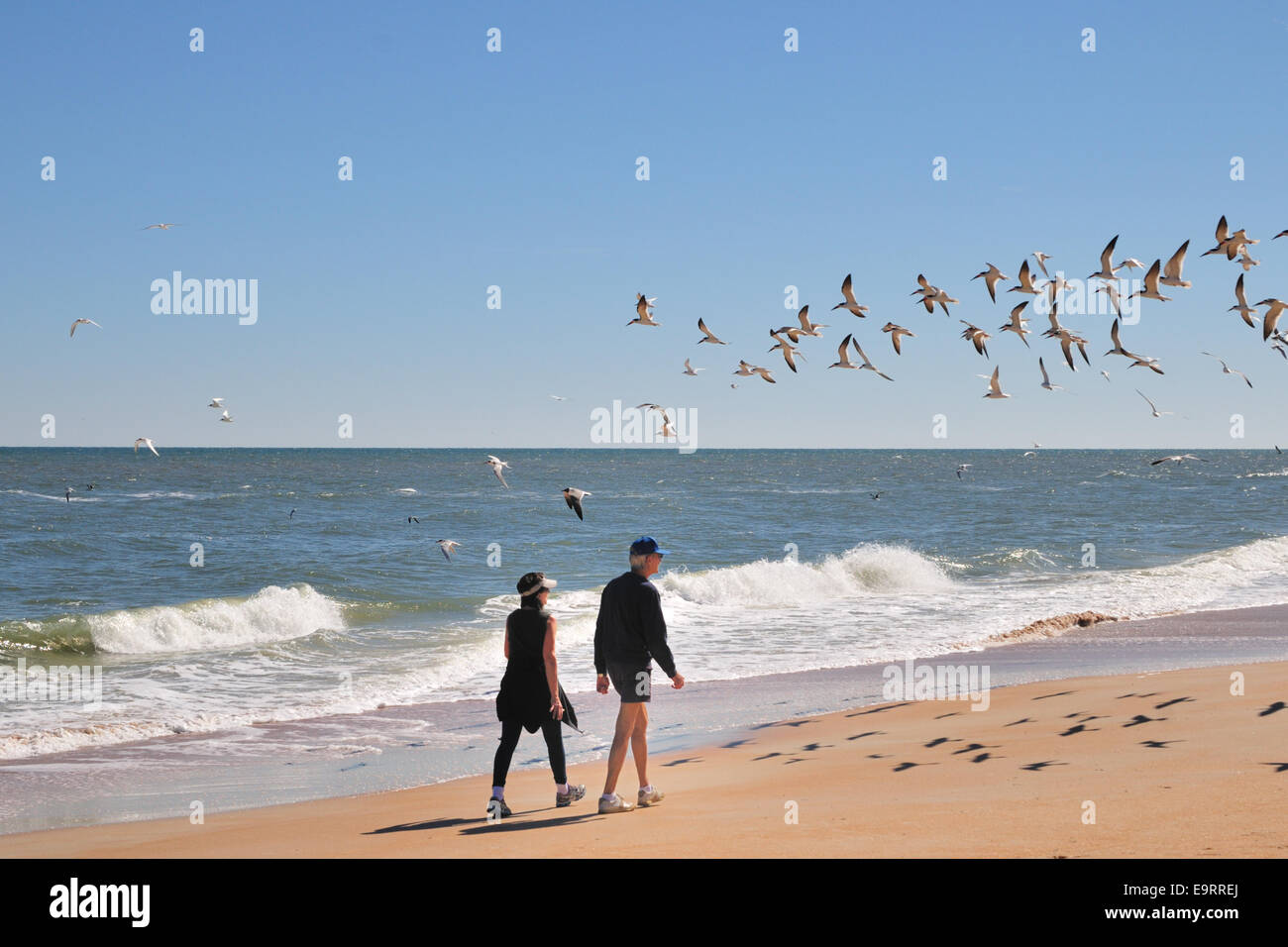 Paar ein Spaziergang vorbei an Kreisen Vögel auf Ormond Beach, Florida Stockfoto