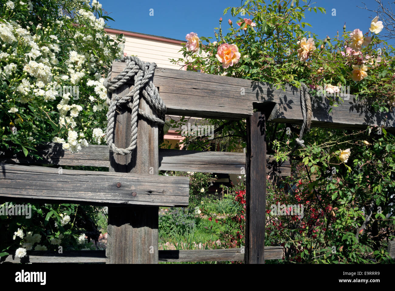 Kalifornien - Garten vor dem Plaza Hall/Zanetta Haus in San Juan Bautista State Historic Park in der Nähe von Hollister. Stockfoto