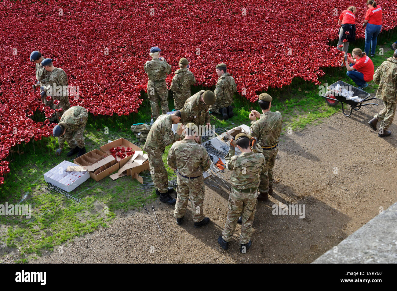 Armeepersonal Vorbereitung und Pflanzen Keramik Mohnblumen in den Graben des Tower of London, Vereinigtes Königreich. Stockfoto