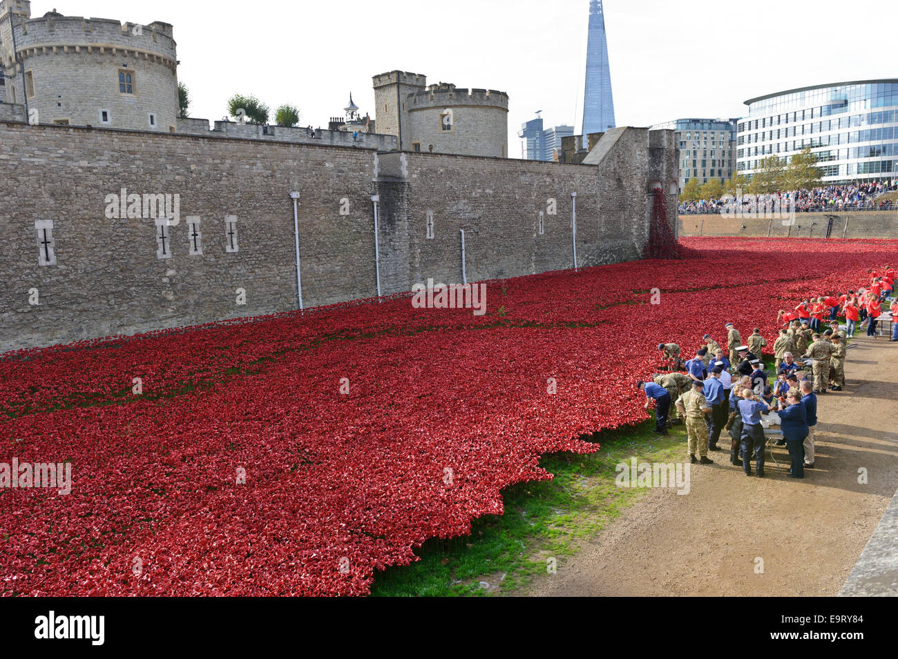 Uniformierte Vorbereitung und Pflanzen Keramik Mohnblumen in den Graben des Tower of London, Vereinigtes Königreich. Stockfoto