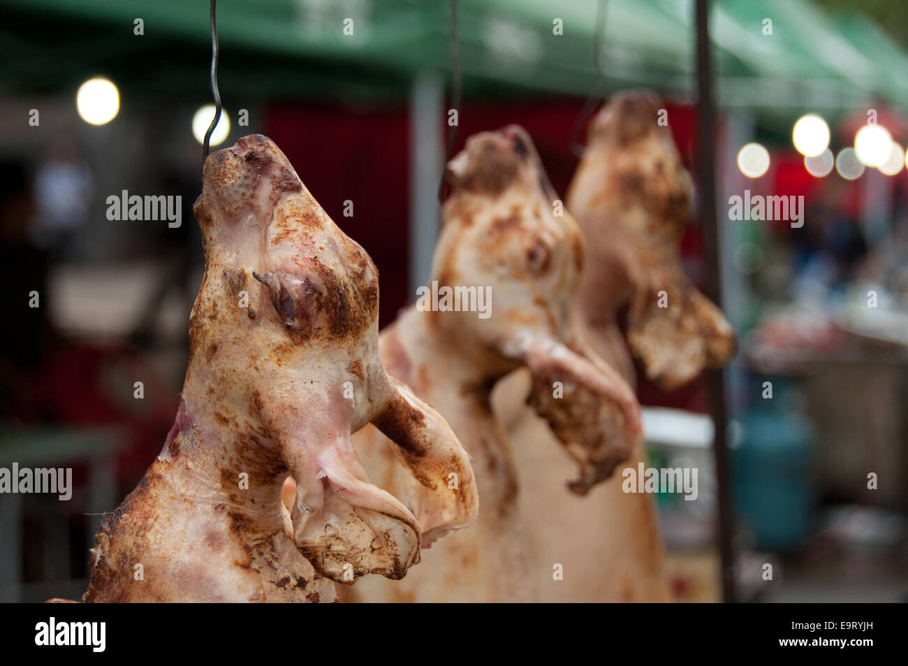 Geröstete Kaninchenköpfe hängen an Haken an einem Verkaufsstand im Freien in Kaili, Provinz Guizhou, China Stockfoto