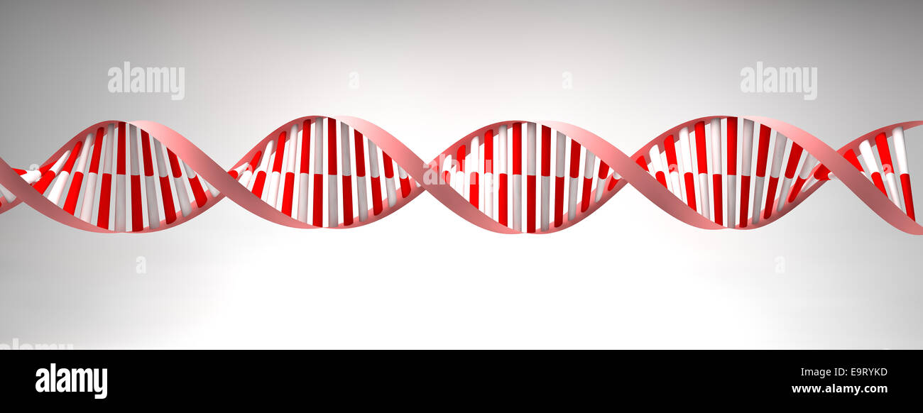 3D DNA-Helix Zelle Struktur Molekül Stockfoto