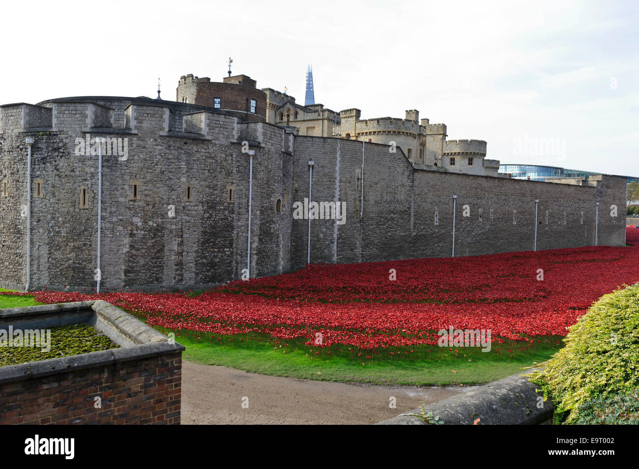 Eine große Anzahl von Keramik Mohnblumen auf Anzeige in den Wassergraben des Tower of London, England, Vereinigtes Königreich. Stockfoto