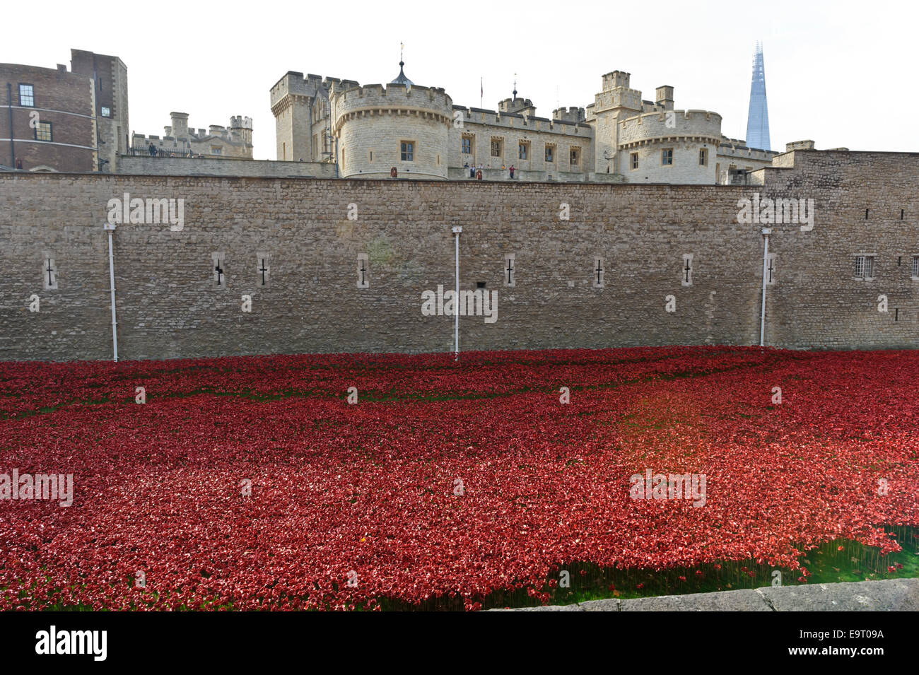 Eine große Anzahl von Keramik Mohnblumen auf Anzeige in den Wassergraben des Tower of London, England, Vereinigtes Königreich. Stockfoto