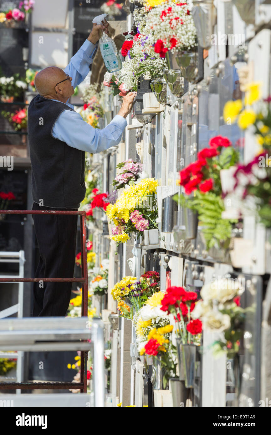 Las Palmas, Gran Canaria, Kanarische Inseln, Spanien. 1. November 2014. Ihren lieben Verwandten bringen Blumen auf den Friedhof zu erinnern; eine Tradition in Spanien und vielen anderen Ländern auf Dia de Todos Los Santos (Allerheiligen). Bildnachweis: ALANDAWSONPHOTOGRAPHY/Alamy Live-Nachrichten Stockfoto