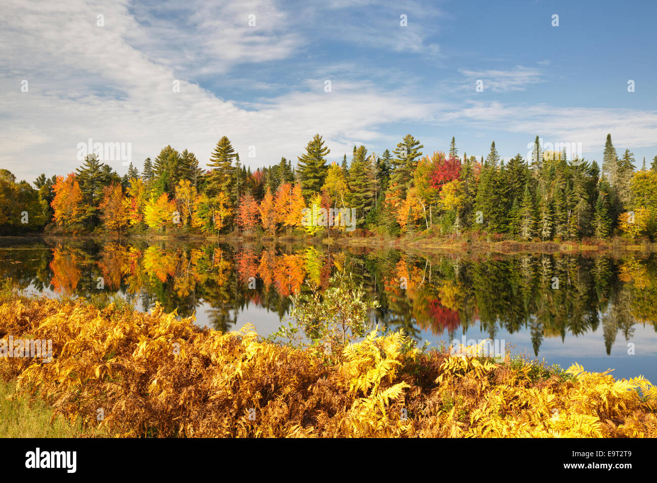 Pontook-Stausee am Androscoggin River entlang Route 16 in Dummer, New Hampshire USA während der Herbstmonate Stockfoto