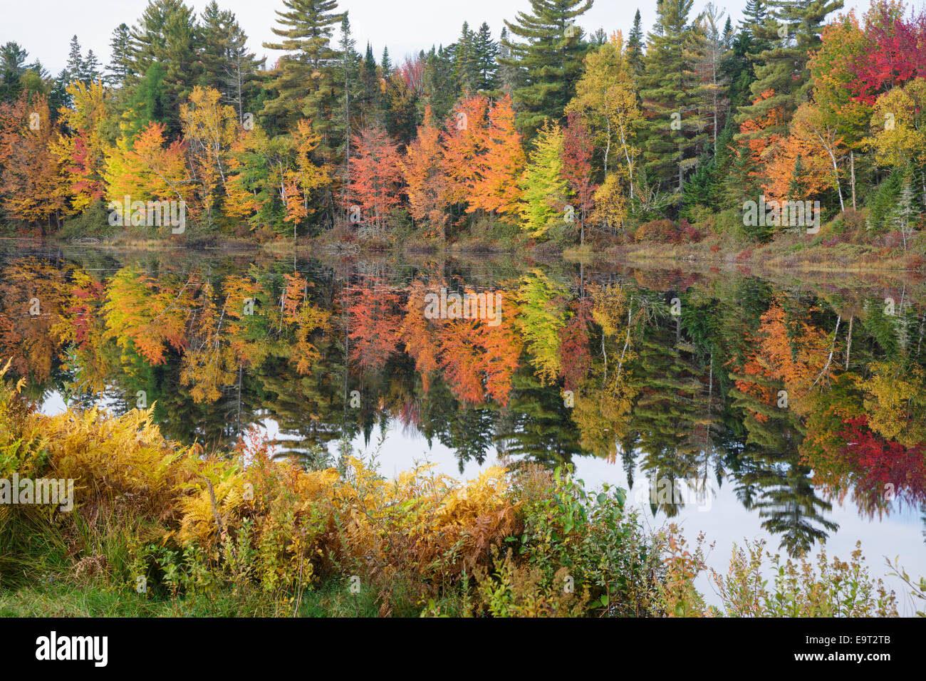 Pontook-Stausee am Androscoggin River entlang Route 16 in Dummer, New Hampshire USA während der Herbstmonate Stockfoto