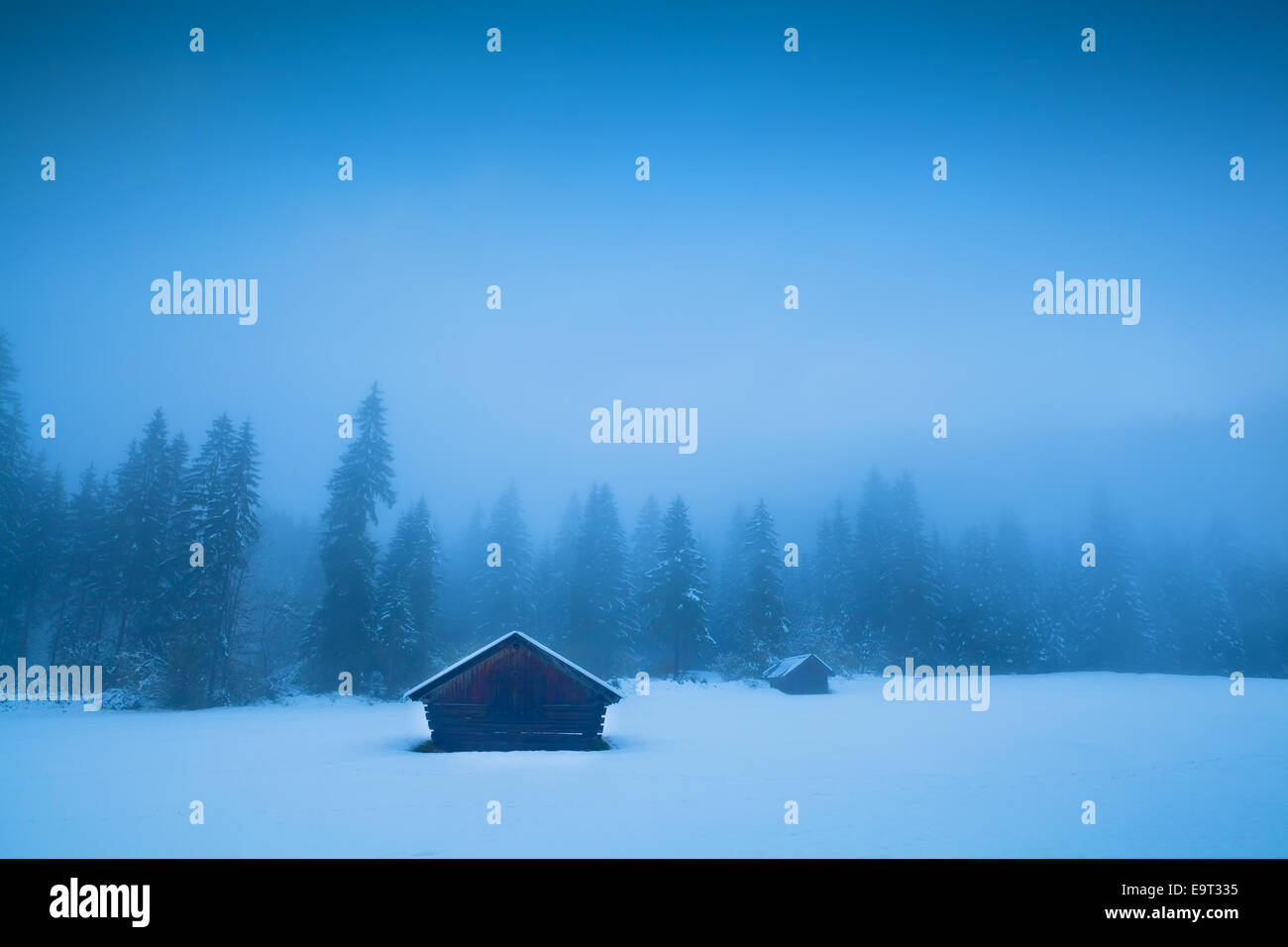 alte Hütten und Nadelwald im Winternebel, Deutschland Stockfoto