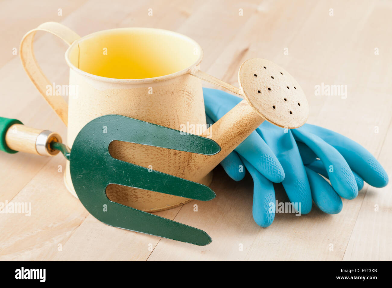 Gartenarbeit, Werkzeuge Gießkanne, Garten Gabel, Gummihandschuhe auf hölzernen Hintergrund Stockfoto