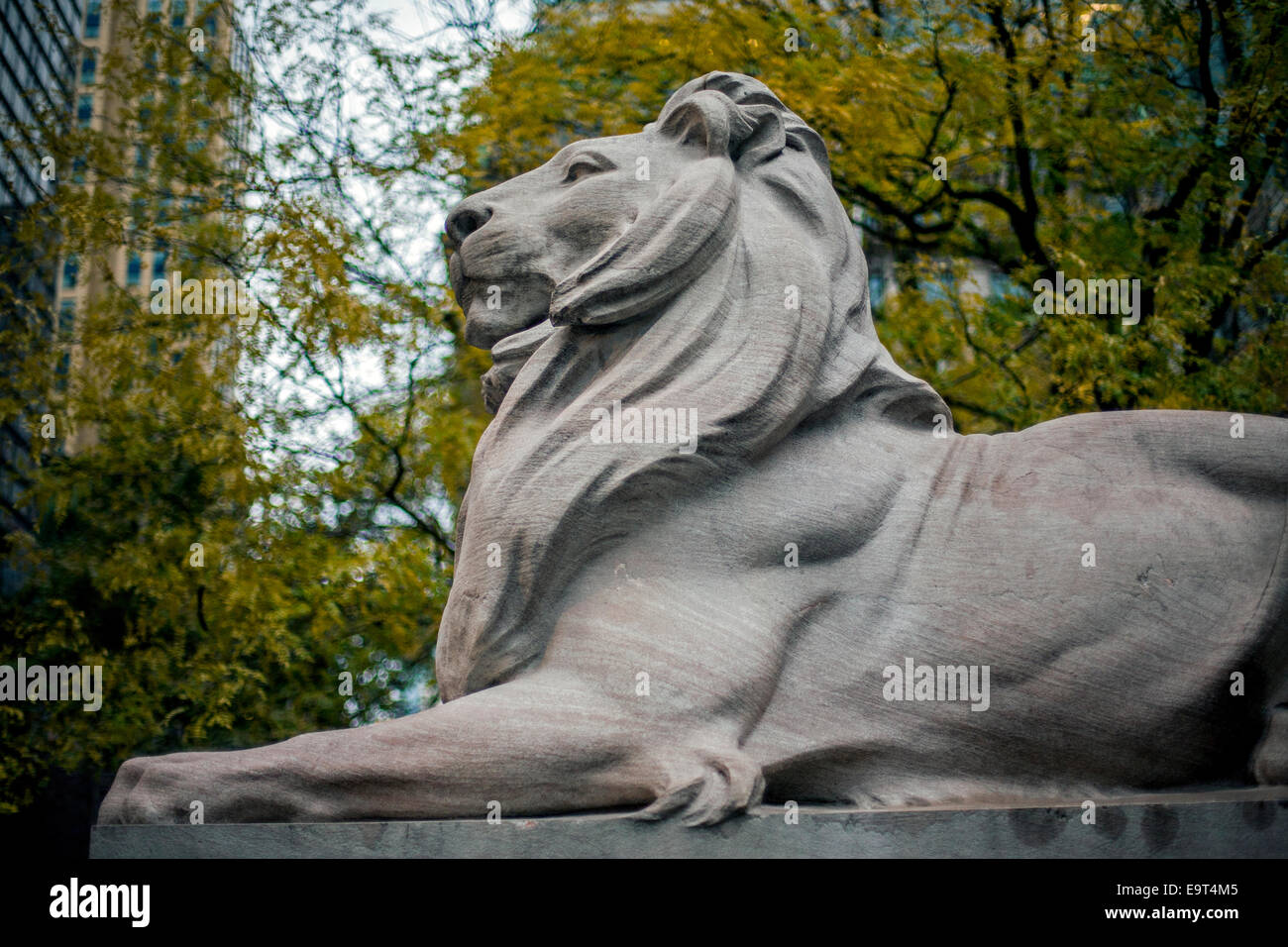 Löwenstatue in New York Public Library Stockfoto