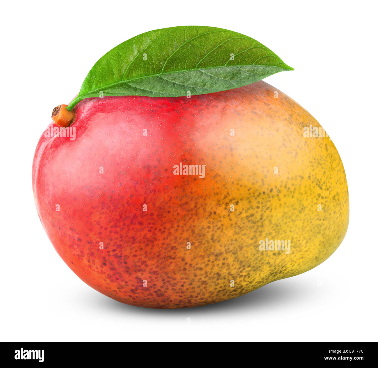 Frische Mango-Frucht isoliert auf weißem Hintergrund. Clipping-Pfad Stockfoto