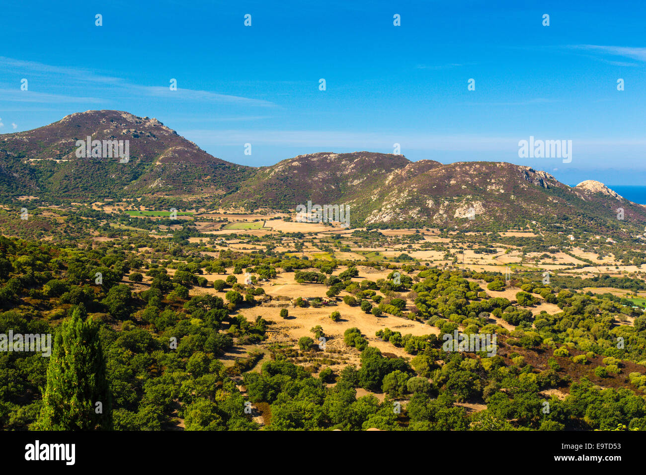 Blick über eine Landschaft auf Korsika Stockfoto