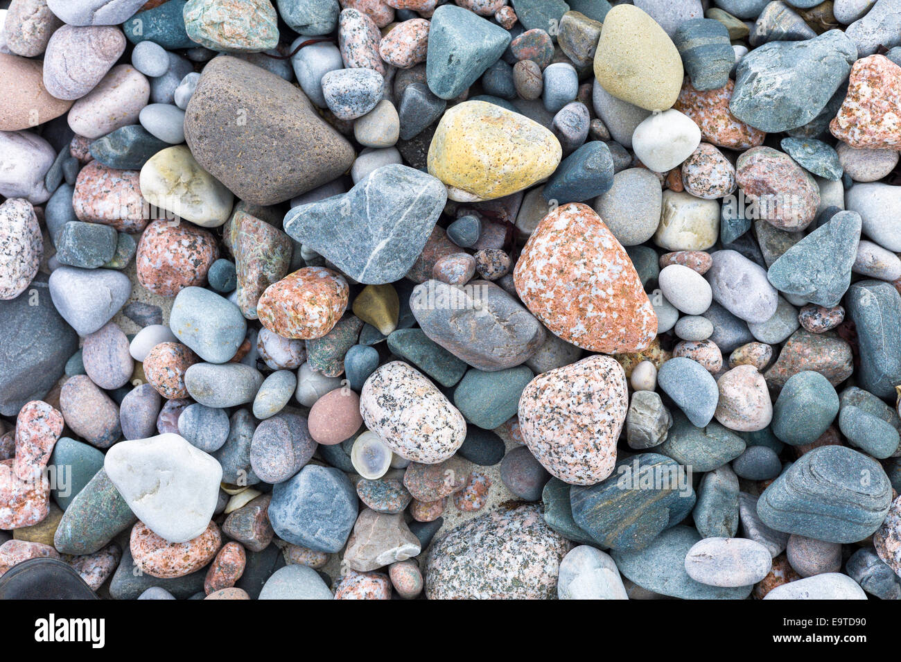 Rosa Granitfelsen und Kieselsteine in Pastell und Korallen Schattierungen der Farbe am Strand auf Isle of Iona in den Inneren Hebriden und westlichen ich Stockfoto