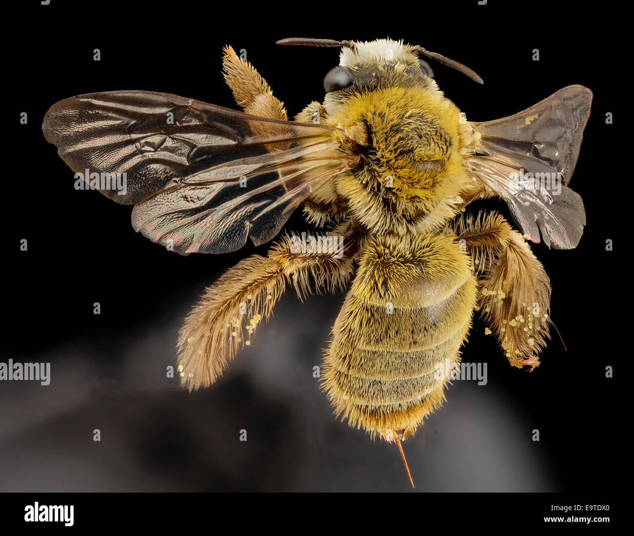 Get Um etwas wissen For iPhone Free Um Etwas Wissen