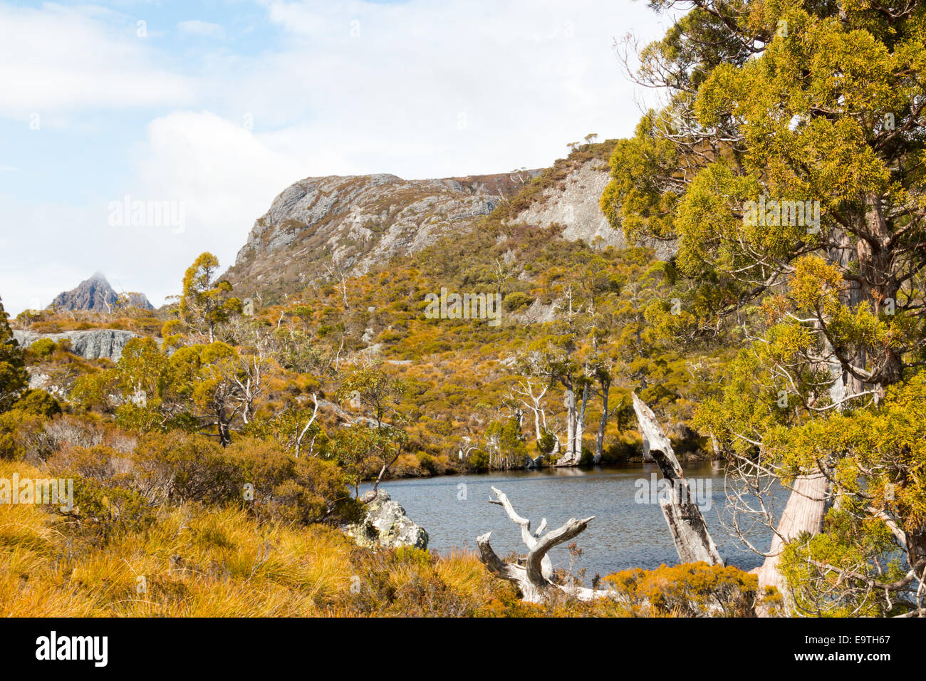 Wombat Pool und Cradle Mountain in Cradle Mountain-Lake St. Clair National Park, Tasmanien, Australien Stockfoto