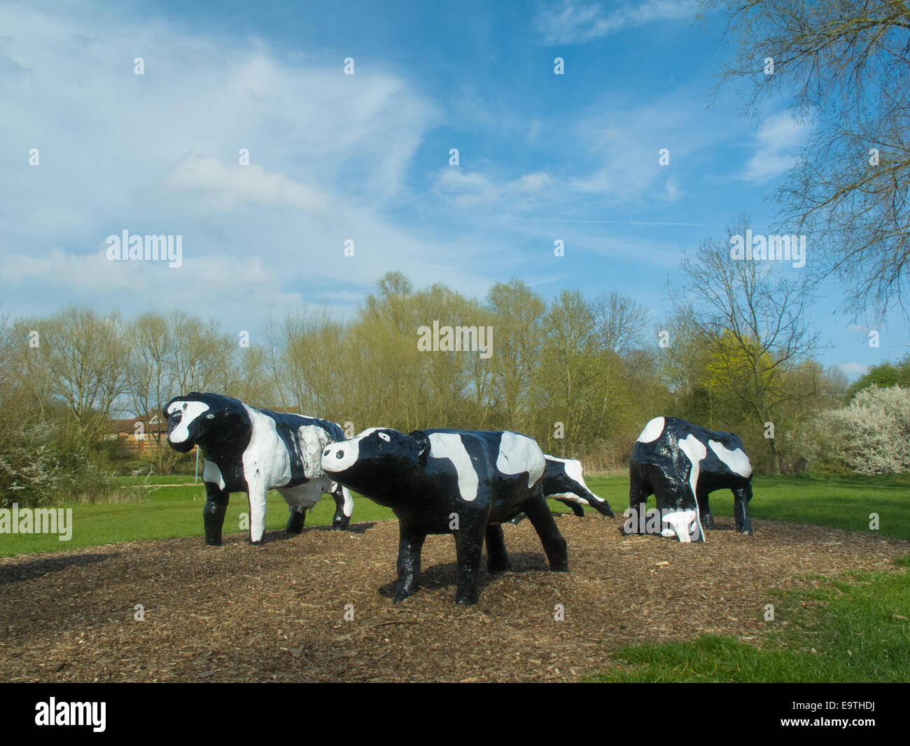 Konkrete Kühe in Milton Keynes, gegründet 1978 von kanadischen geborene Künstler, Liz Leyh. Stockfoto