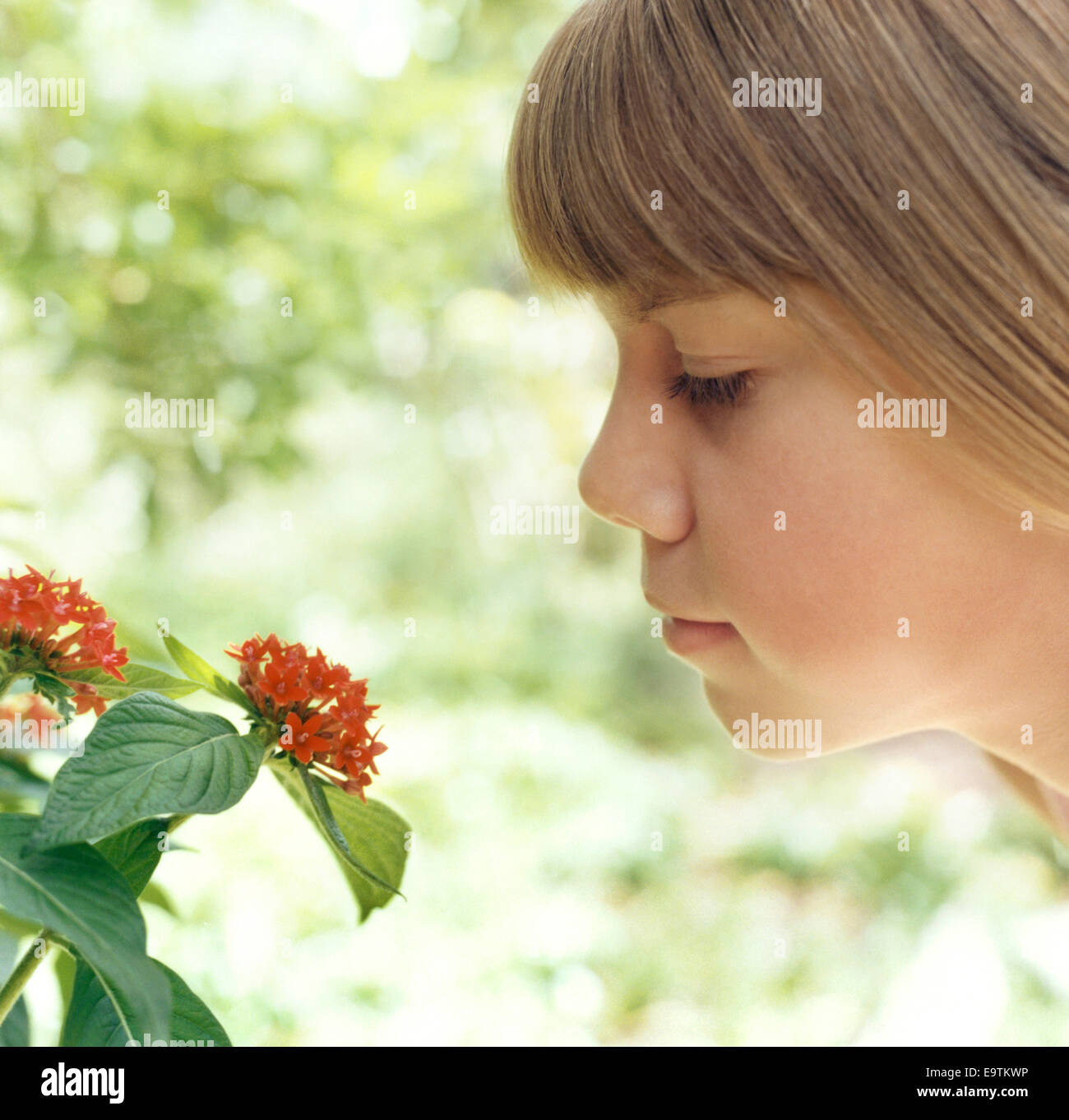 Mädchen riechende Blume Stockfoto