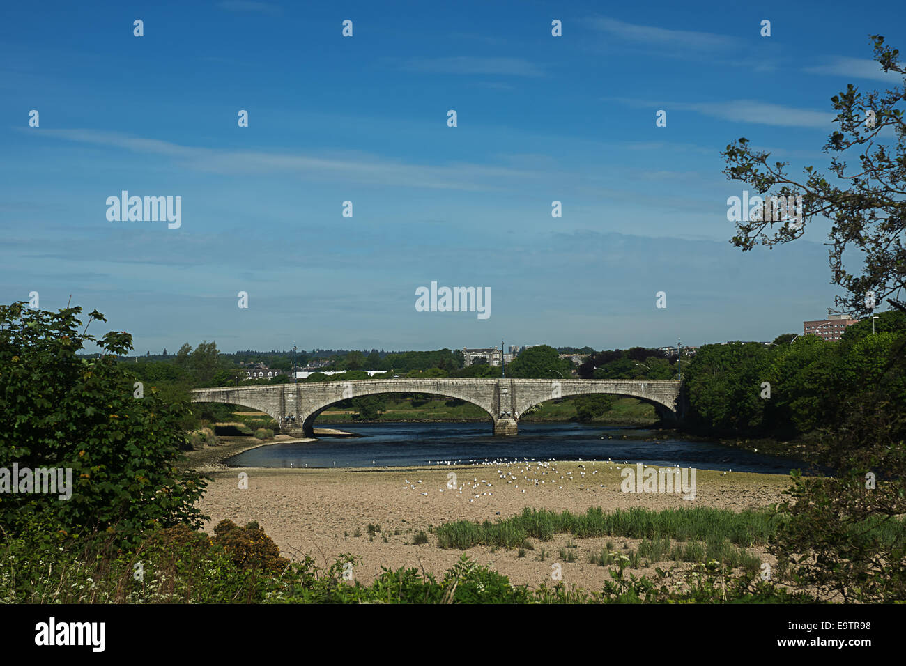 George der Sixth-Brücke, Südufer und Möwen. Stockfoto