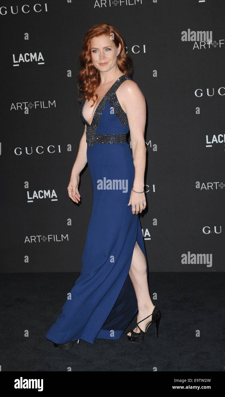 Amy Adams bei der Ankunft für 2014 LACMA KUNSTFILM + GALA, Los Angeles County Museum of Art, Los Angeles, Californialifornia 1. November 2014. Foto von: Elizabeth Goodenough/Everett Collection Stockfoto