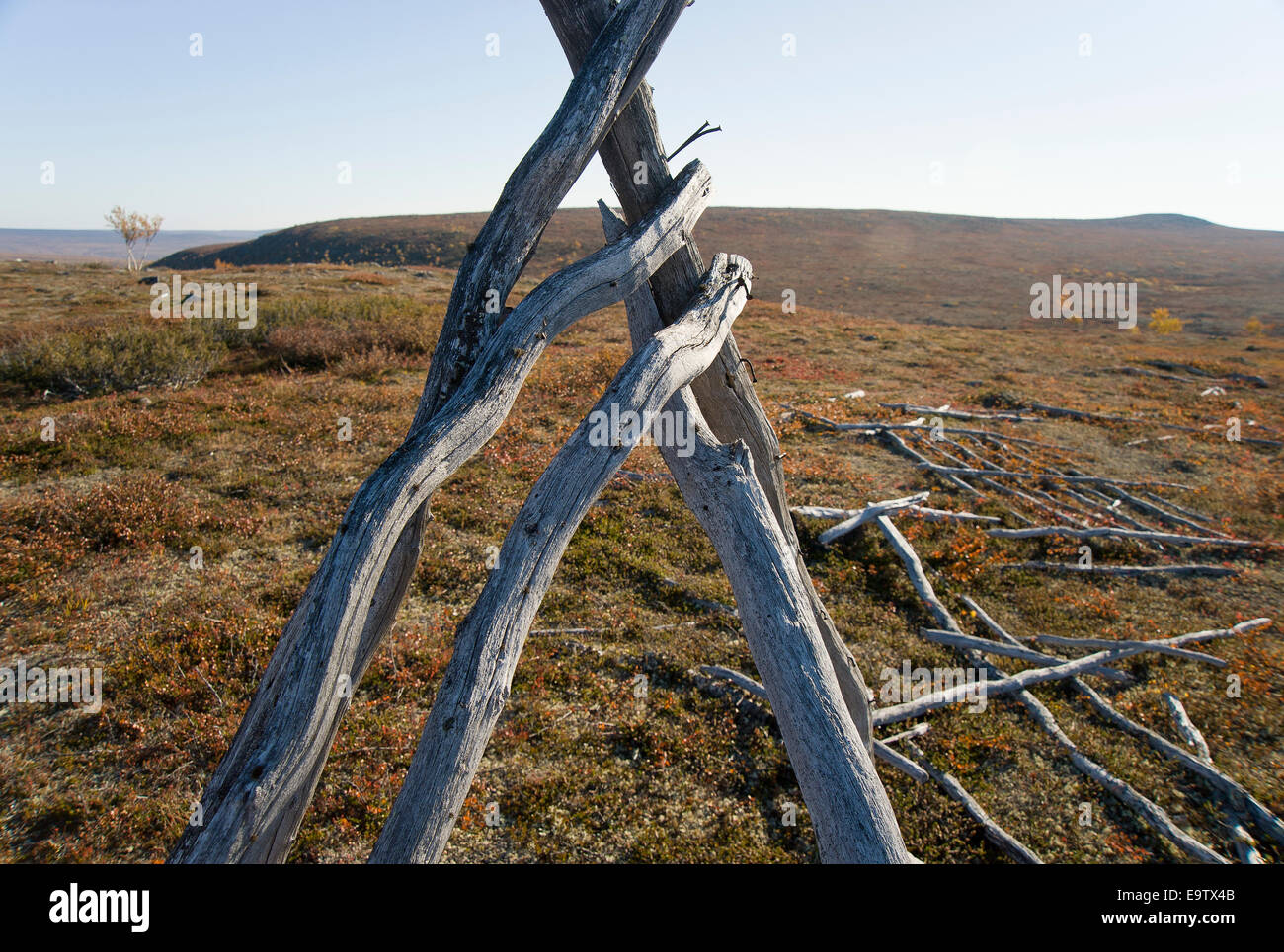 Alte Hüte Rentier-Zaun Stockfoto