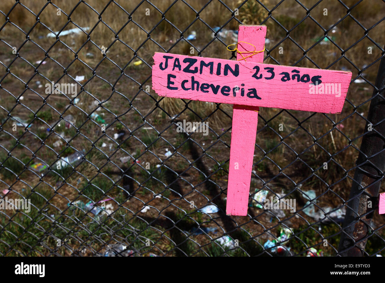 EL ALTO, Bolivien, 2. November 2014. Ein rosa Kreuz mit den Namen der eine junge 23 jährige Frau auf einem Maschendrahtzaun, Teil einer Gedenkstätte für die jüngsten Opfer der Frauenmorde und häusliche Gewalt gegen Frauen. Laut einem Bericht der WHO im Januar 2013 ist Bolivien das Land mit der höchsten Rate der Gewalt gegen Frauen in Lateinamerika. Bildnachweis: James Brunker / Alamy Live News Stockfoto
